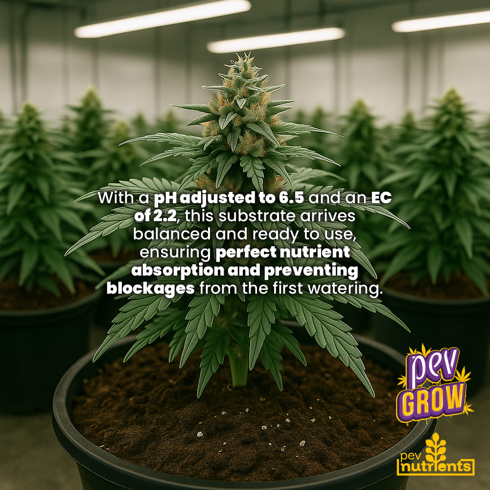 Terra Autoflower Pev Nutrients